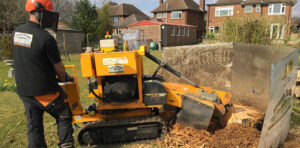 Stump Grinding Service