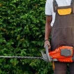 Why Hedge Trimming Services Are Essential for Your Garden’s Health
