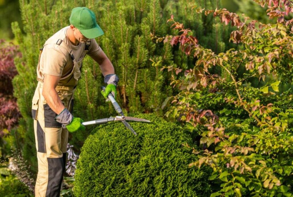commercial hedge trimming