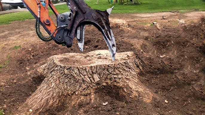 Stump Grinding Service