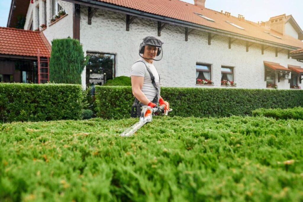 commercial hedge trimming