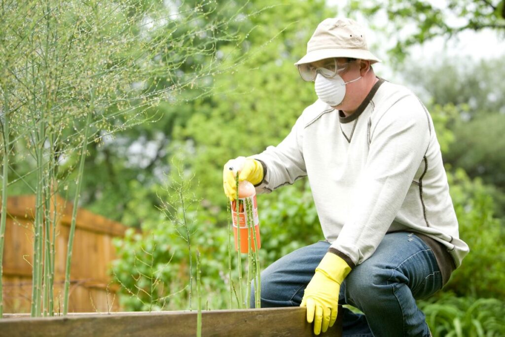 pest control service Sydney